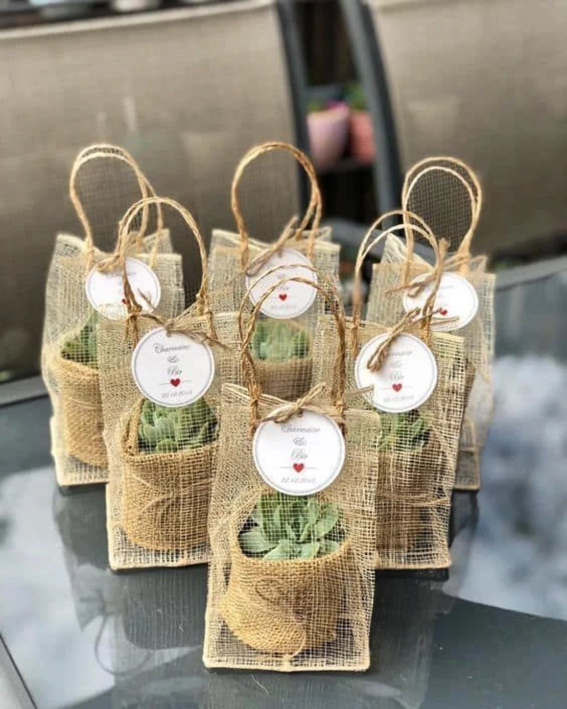 Green Bridal Shower Ideas: 10 Eco-Friendly Party Picks 5 Small succulent plants in burlap wraps and mesh bags with white gift tags.
