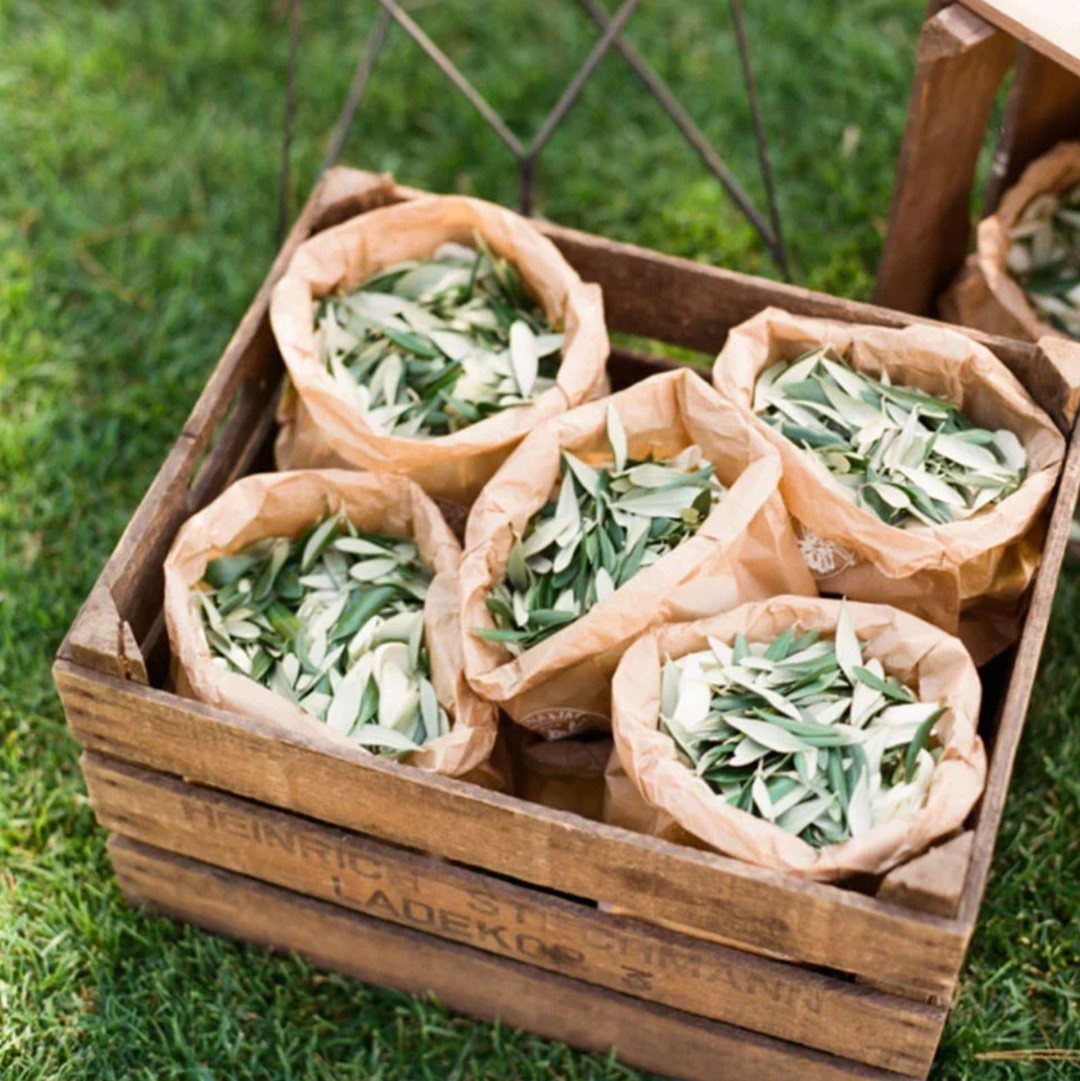 Green Bridal Shower Ideas: 10 Eco-Friendly Party Picks 10 Brown paper bags filled with green olive leaves inside a rustic wooden crate