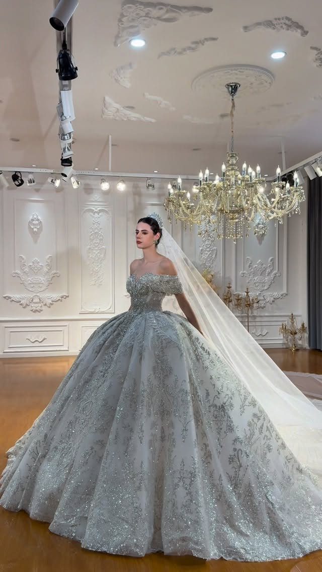 Woman in a sparkly silver ball gown wedding dress with off-the-shoulder sleeves and veil.
