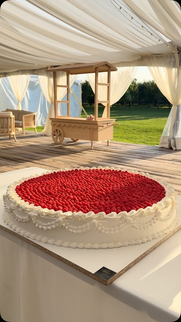 Wide white frosted cake topped with fresh red raspberries in a draped tent.