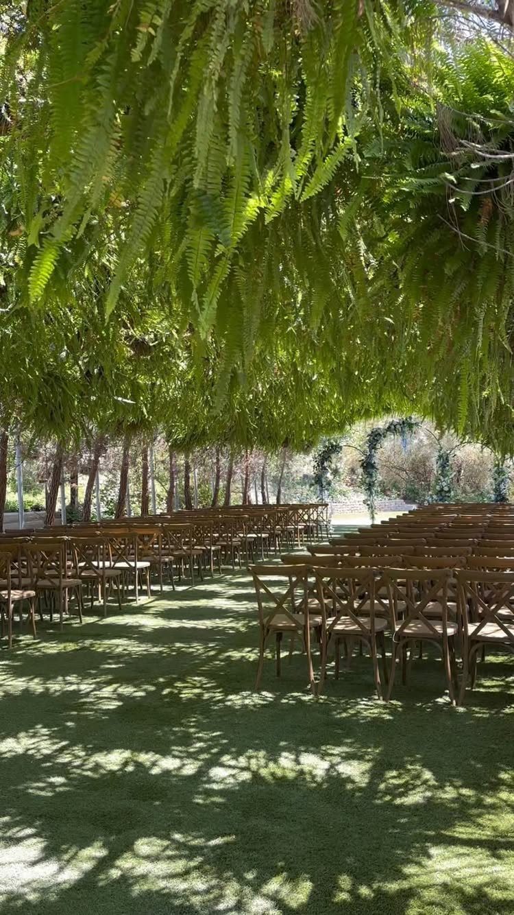 Wooden wedding chairs arranged on grass beneath a canopy of hanging green ferns.