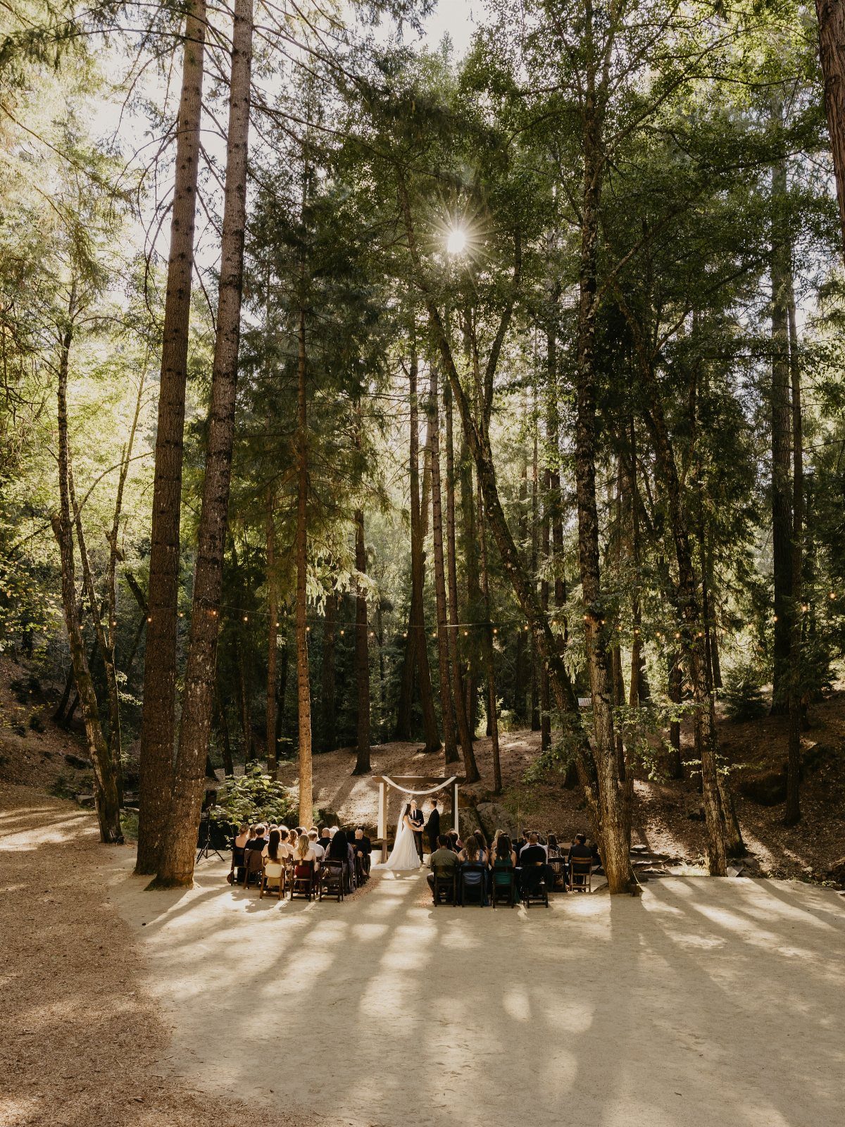 Wedding ceremony with a small guest list held in a sunlit evergreen forest