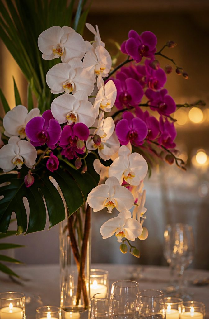 Popular Wedding Flowers for Bouquets, Centerpieces and Arrangements 12 A display of various orchid types arranged elegantly.